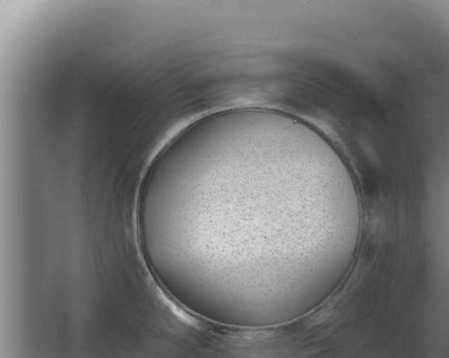 X0000068301294200604281700