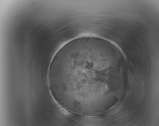 X0000068301295200604281700