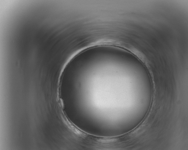 X0000068301296200604281700