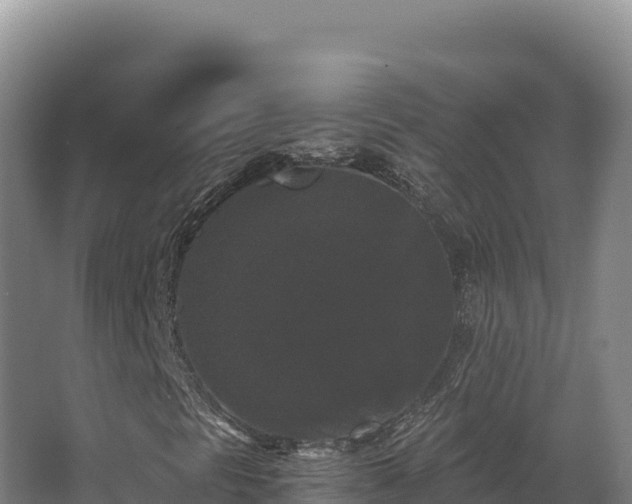 X0000068301297200604281659