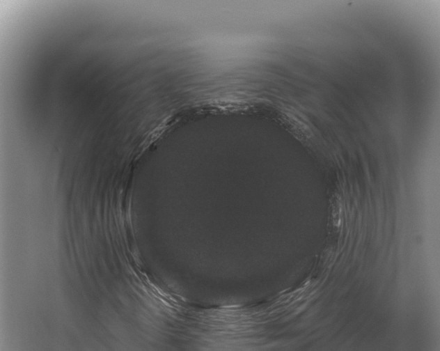 X0000068301298200604281659