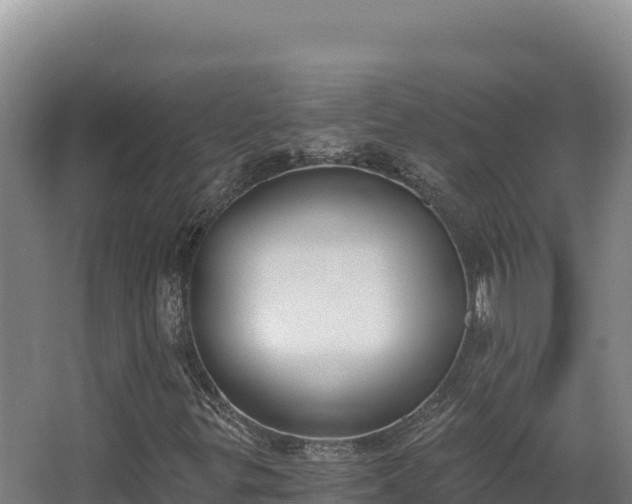 X0000068301299200604281659