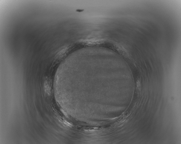 X0000068301300200604281659