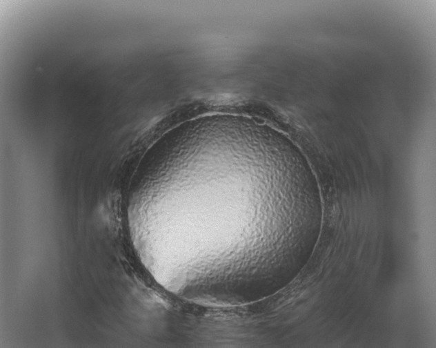 X0000068301301200604281659