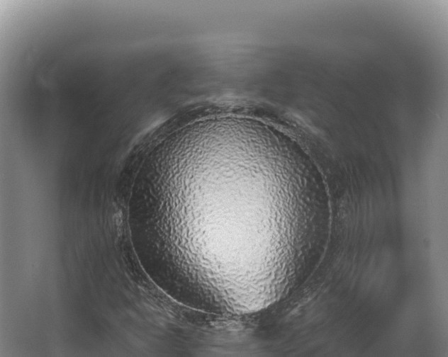 X0000068301302200604281659