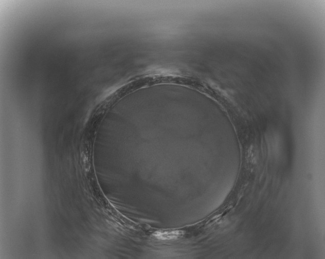 X0000068301303200604281659