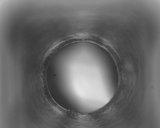 X0000068301304200604281659