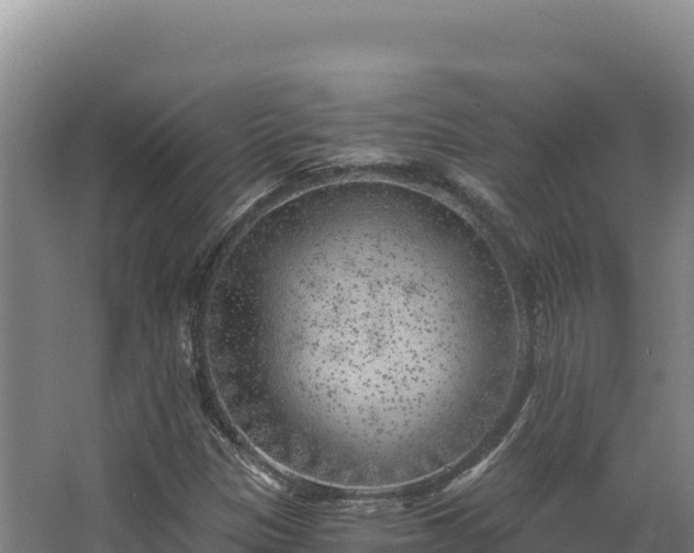 X0000068301305200604281659