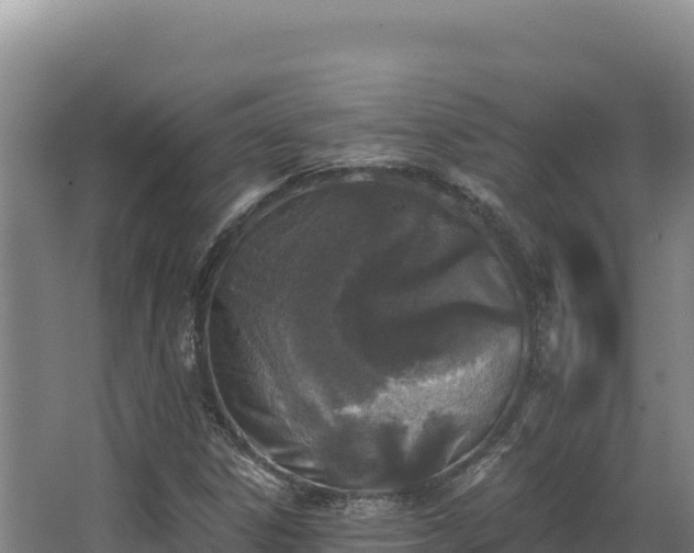 X0000068301306200604281659