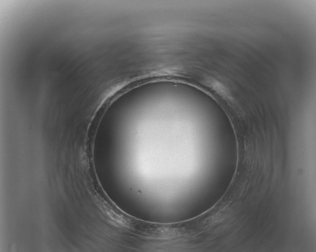 X0000068301308200604281659