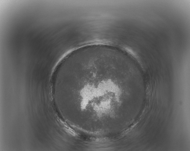 X0000068301310200604281659