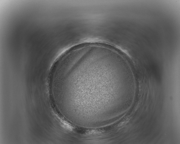 X0000068301311200604281659