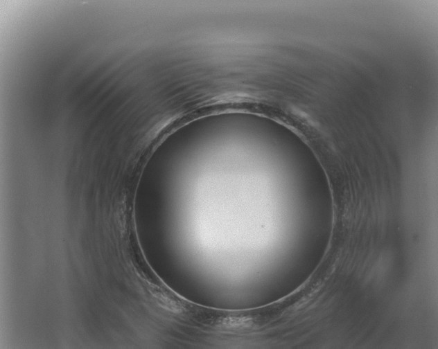 X0000068301313200604281659