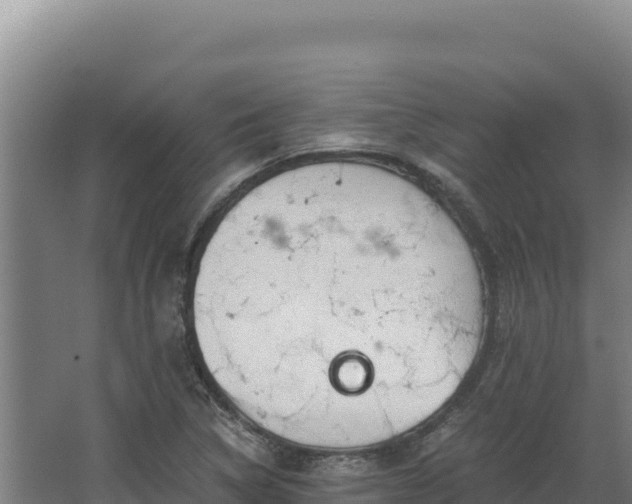 X0000068301314200604281659