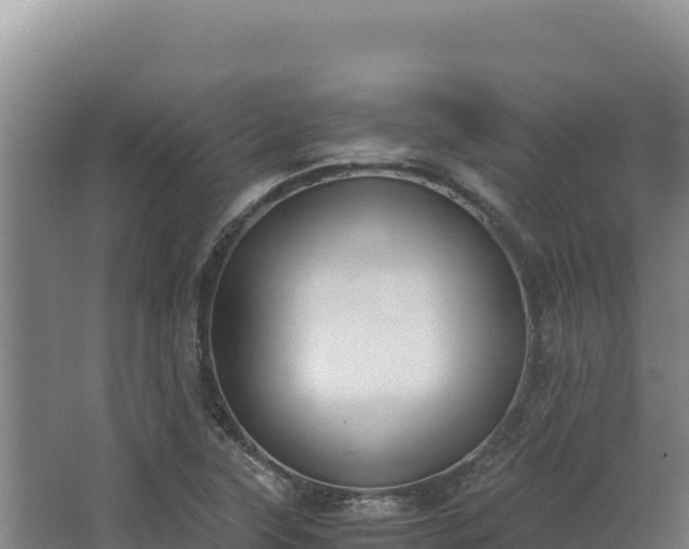 X0000068301315200604281659