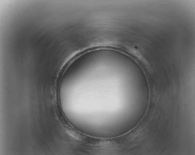 X0000068301316200604281659