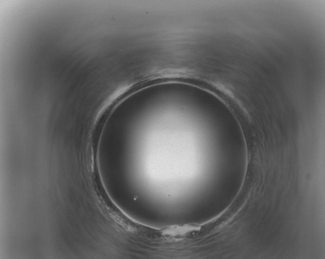 X0000068301317200604281659