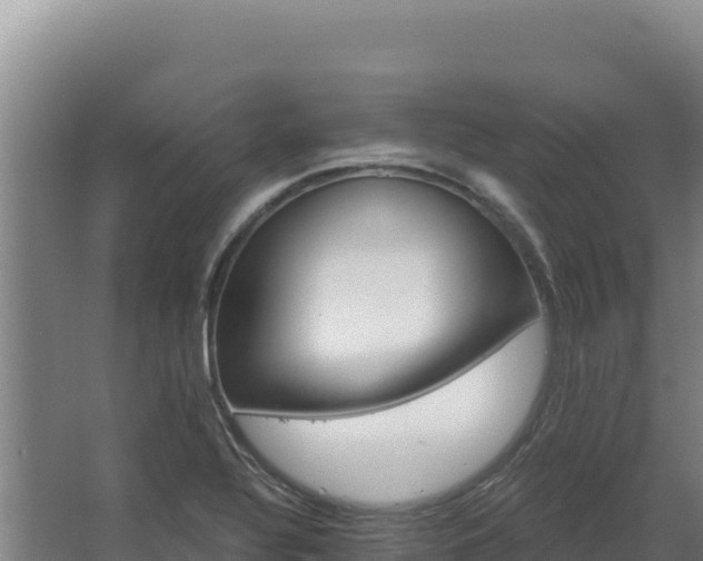 X0000068301320200604281659