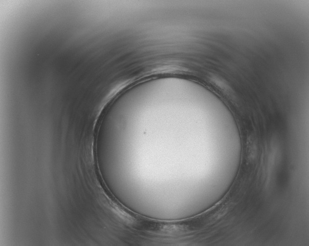 X0000068301322200604281659