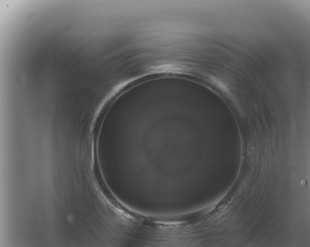 X0000068301323200604281659