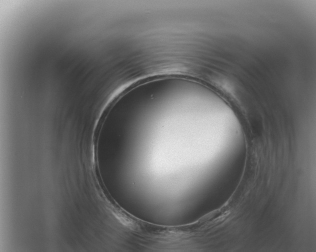 X0000068301324200604281659