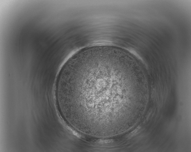 X0000068301325200604281659