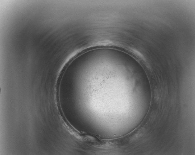 X0000068301326200604281659