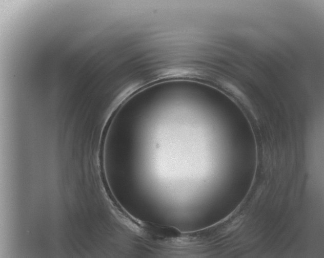 X0000068301330200604281659