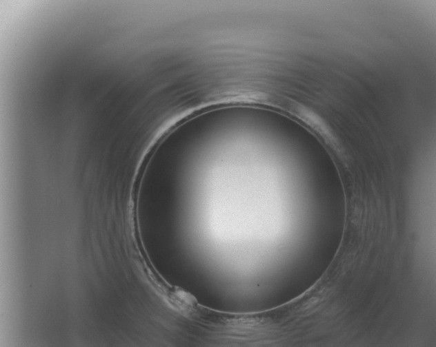 X0000068301332200604281659