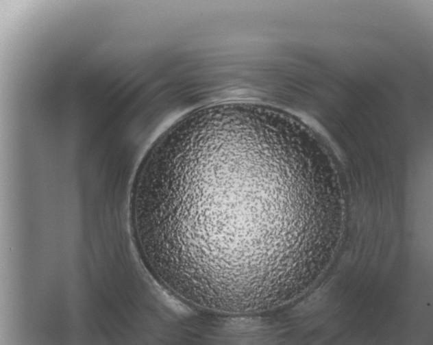 X0000068301333200604281659