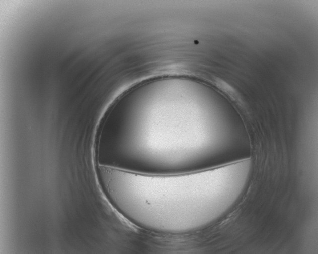 X0000068301334200604281659