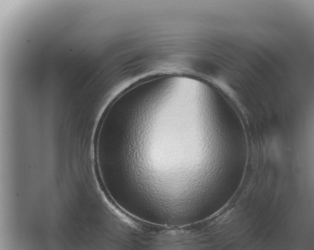 X0000068301335200604281659