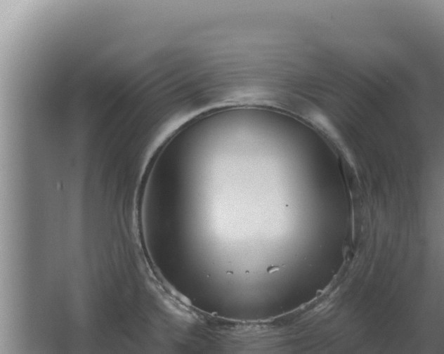 X0000068301336200604281659