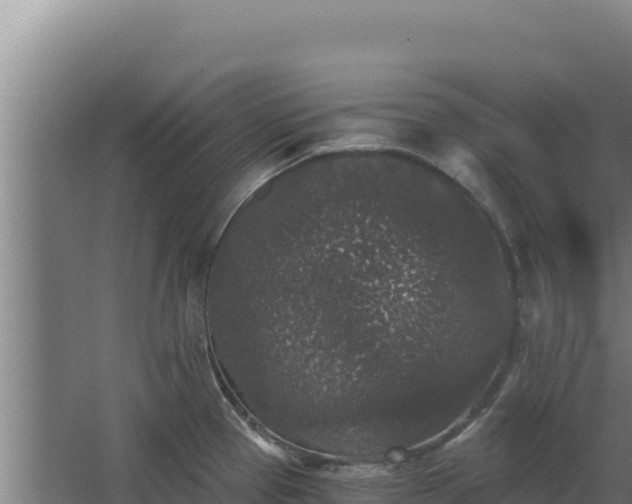 X0000068301337200604281659