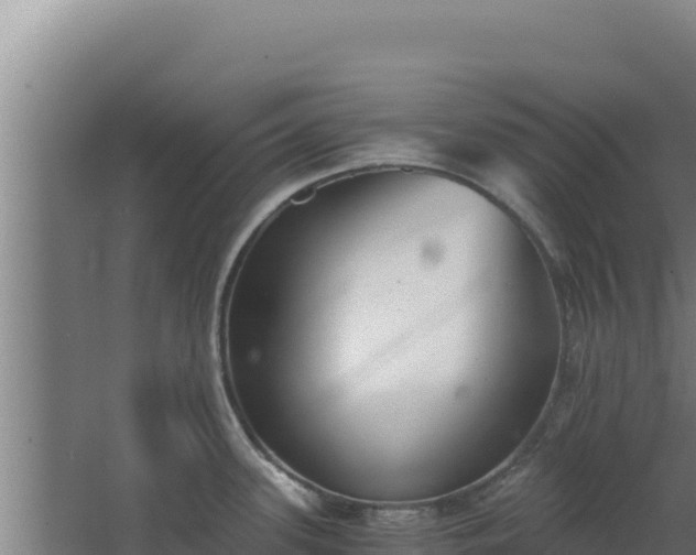 X0000068301339200604281659