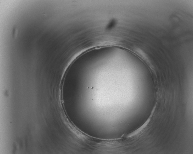 X0000068301340200604281659