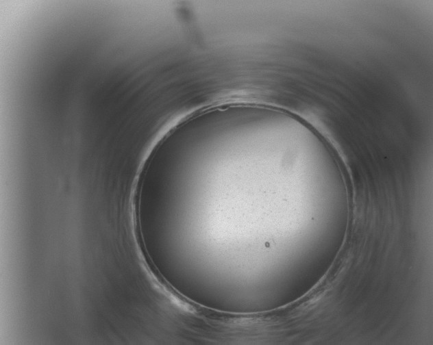 X0000068301341200604281659