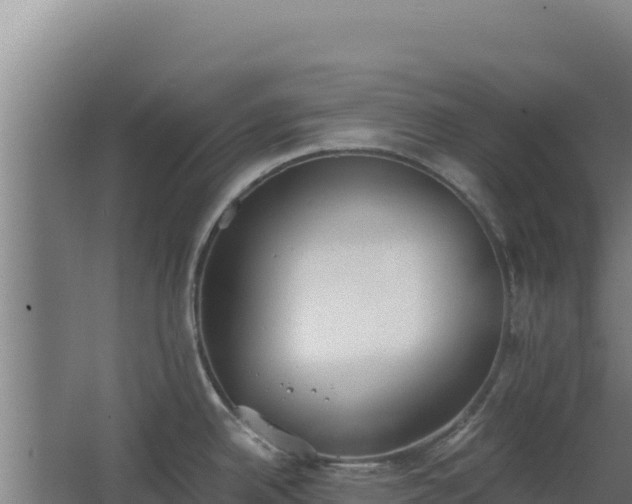 X0000068301342200604281659