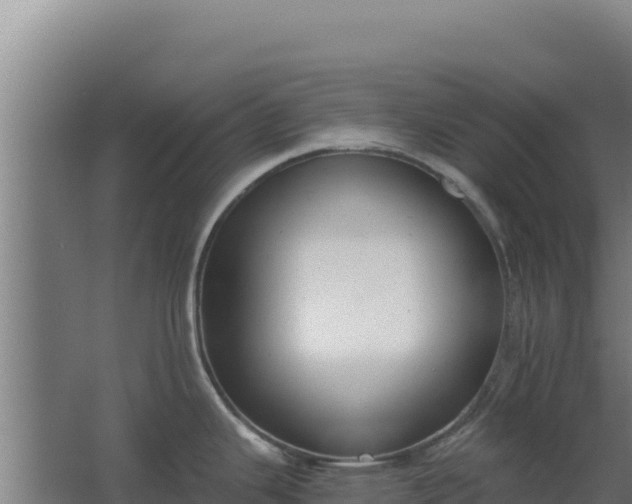 X0000068301343200604281700