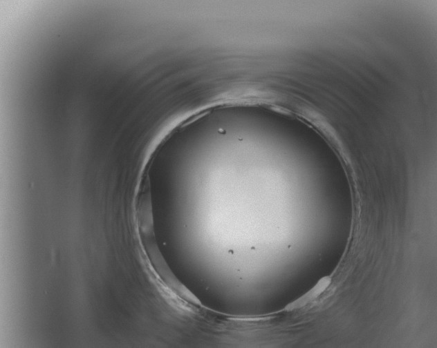 X0000068301344200604281700