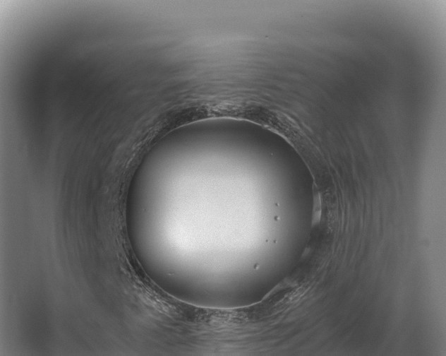 X0000068301345200604281659