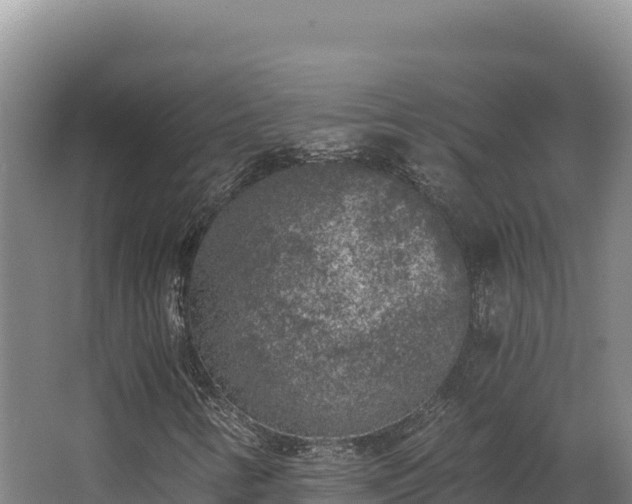 X0000068301346200604281659