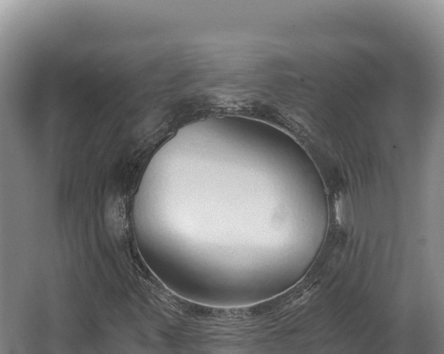 X0000068301347200604281659