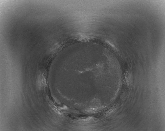 X0000068301348200604281659