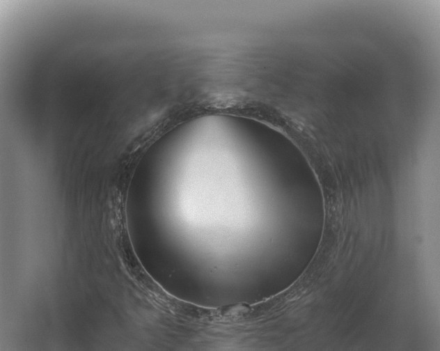 X0000068301349200604281659