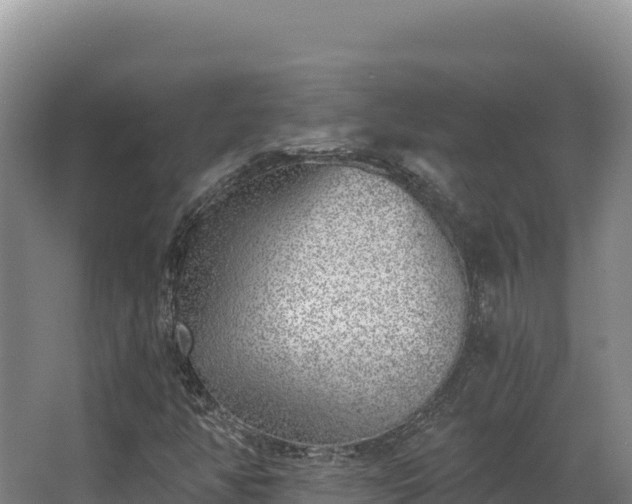 X0000068301350200604281659