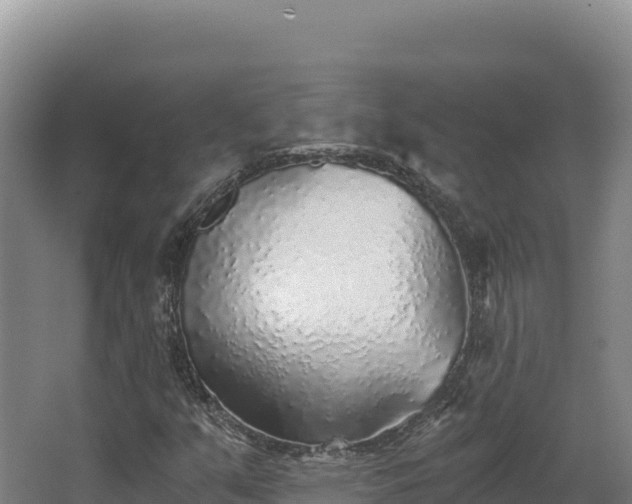 X0000068301351200604281659