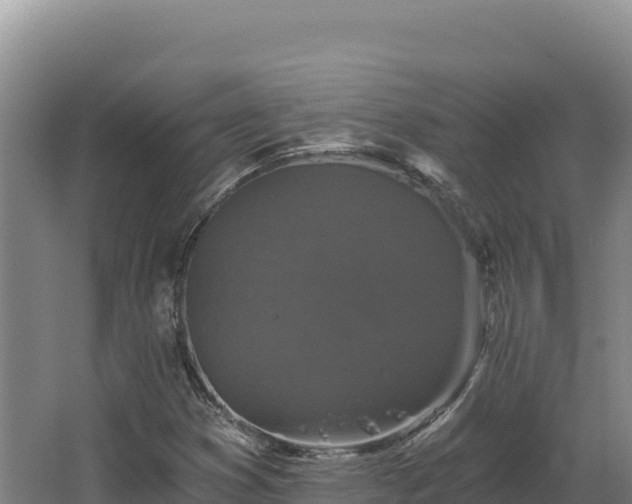 X0000068301353200604281659