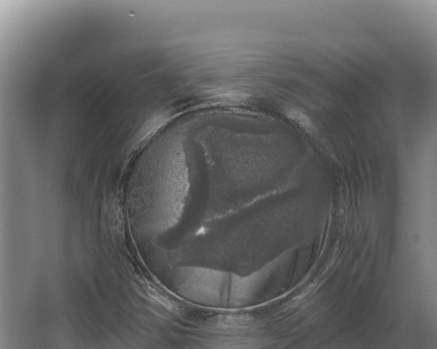 X0000068301354200604281659