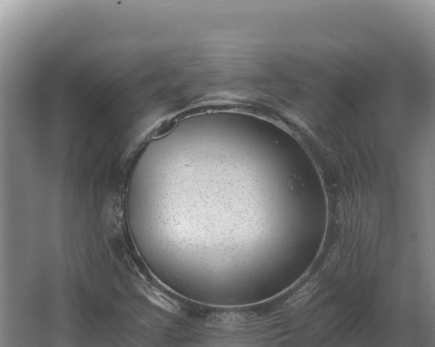 X0000068301355200604281659